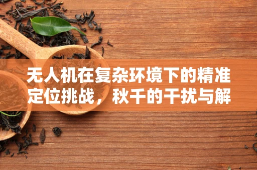 无人机在复杂环境下的精准定位挑战，秋千的干扰与解决方案