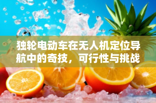 独轮电动车在无人机定位导航中的奇技，可行性与挑战并存？