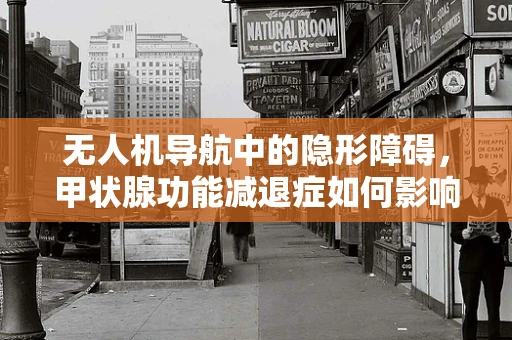 无人机导航中的隐形障碍，甲状腺功能减退症如何影响定位精度？