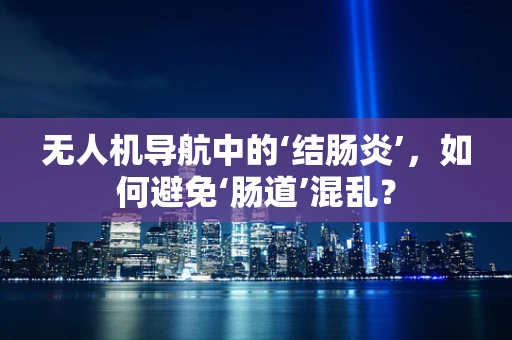 无人机导航中的‘结肠炎’，如何避免‘肠道’混乱？