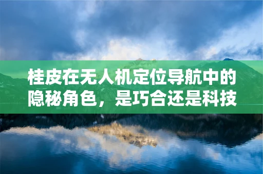 桂皮在无人机定位导航中的隐秘角色，是巧合还是科技新突破？