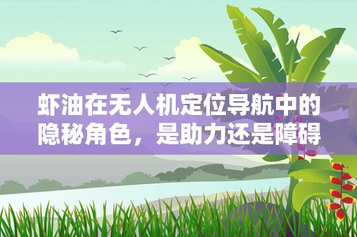 虾油在无人机定位导航中的隐秘角色，是助力还是障碍？