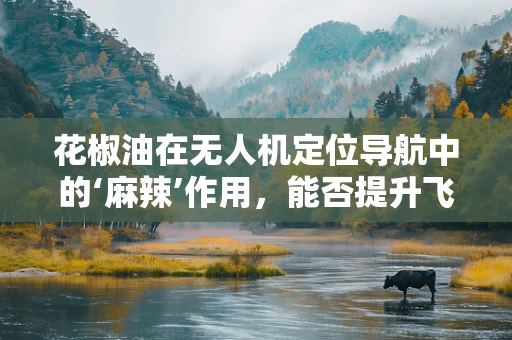 花椒油在无人机定位导航中的‘麻辣’作用，能否提升飞行稳定性？