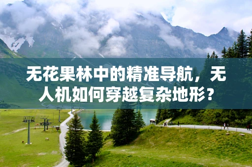 无花果林中的精准导航，无人机如何穿越复杂地形？