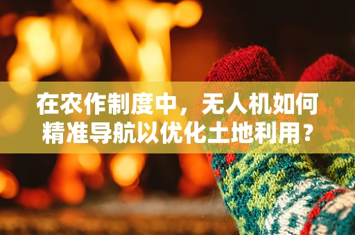在农作制度中，无人机如何精准导航以优化土地利用？