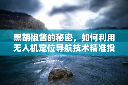 黑胡椒酱的秘密，如何利用无人机定位导航技术精准投放？