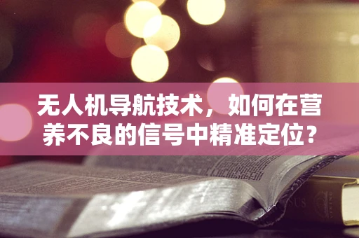 无人机导航技术，如何在营养不良的信号中精准定位？