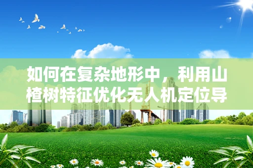 如何在复杂地形中，利用山楂树特征优化无人机定位导航？