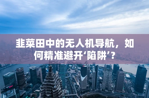 韭菜田中的无人机导航，如何精准避开‘陷阱’？