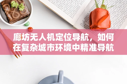 廊坊无人机定位导航，如何在复杂城市环境中精准导航