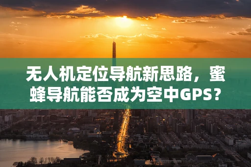 无人机定位导航新思路，蜜蜂导航能否成为空中GPS？
