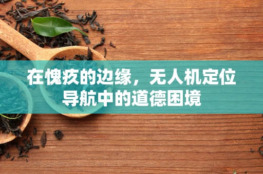 在愧疚的边缘，无人机定位导航中的道德困境