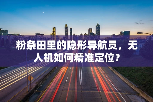 粉条田里的隐形导航员，无人机如何精准定位？