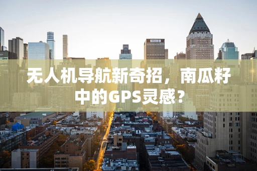 无人机导航新奇招，南瓜籽中的GPS灵感？