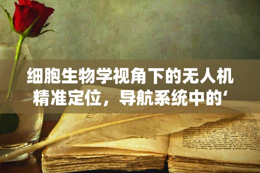 细胞生物学视角下的无人机精准定位，导航系统中的‘细胞’协作机制