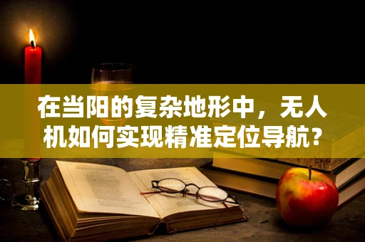 在当阳的复杂地形中，无人机如何实现精准定位导航？