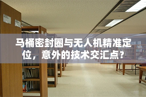 马桶密封圈与无人机精准定位，意外的技术交汇点？