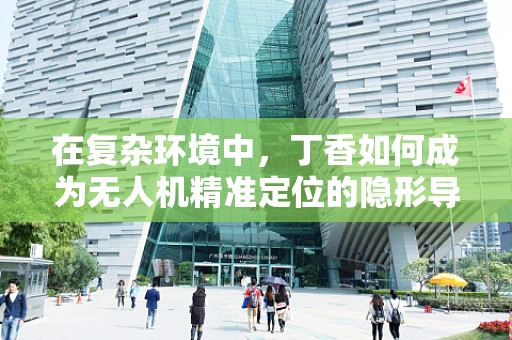 在复杂环境中，丁香如何成为无人机精准定位的隐形导航员？