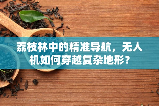 荔枝林中的精准导航，无人机如何穿越复杂地形？