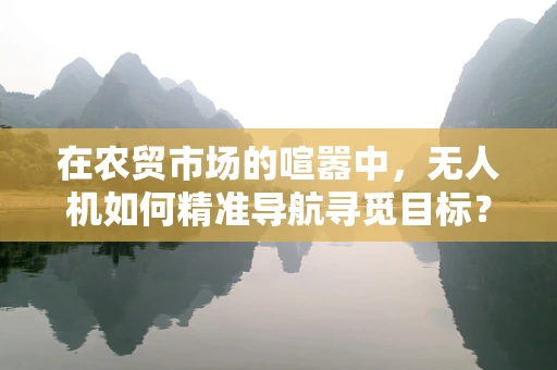 在农贸市场的喧嚣中，无人机如何精准导航寻觅目标？