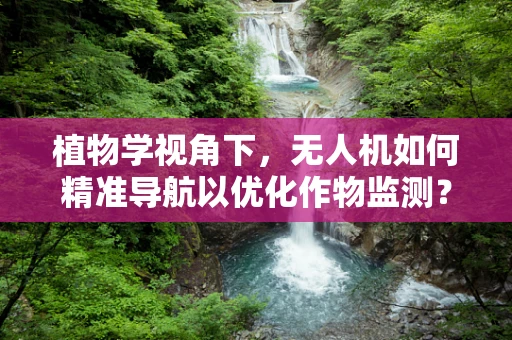 植物学视角下，无人机如何精准导航以优化作物监测？