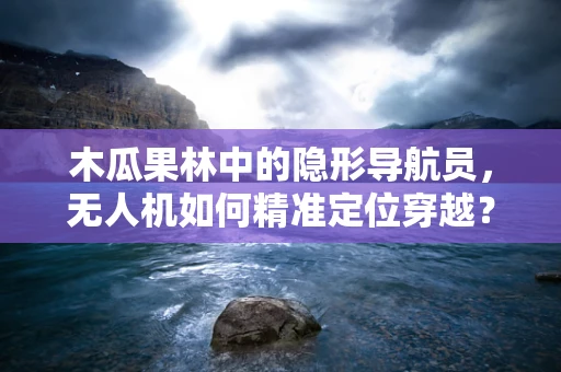 木瓜果林中的隐形导航员，无人机如何精准定位穿越？