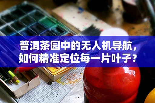 普洱茶园中的无人机导航，如何精准定位每一片叶子？