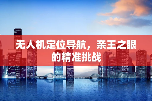 无人机定位导航，亲王之眼的精准挑战