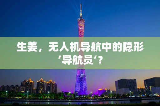 生姜，无人机导航中的隐形‘导航员’？