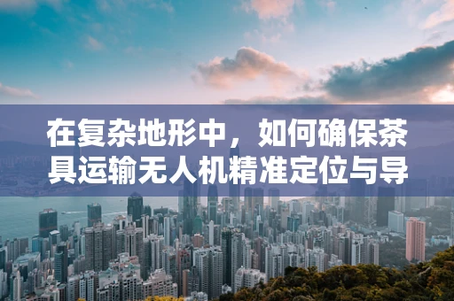 在复杂地形中，如何确保茶具运输无人机精准定位与导航？