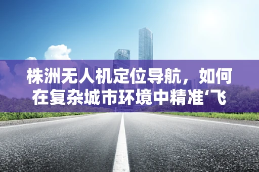 株洲无人机定位导航，如何在复杂城市环境中精准‘飞’行？