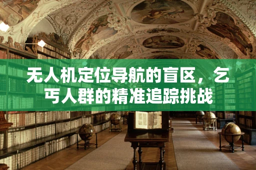 无人机定位导航的盲区，乞丐人群的精准追踪挑战