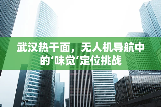 武汉热干面，无人机导航中的‘味觉’定位挑战