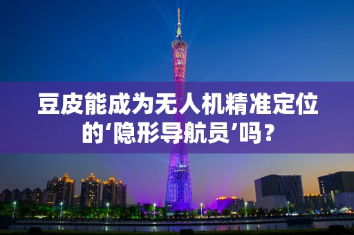 豆皮能成为无人机精准定位的‘隐形导航员’吗？