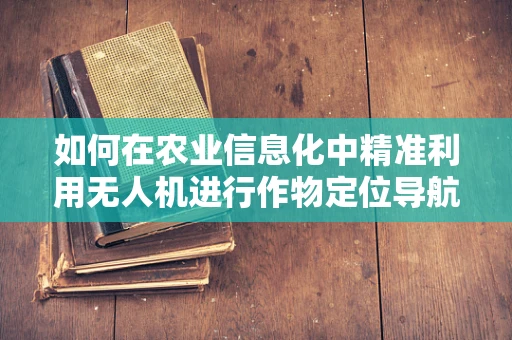 如何在农业信息化中精准利用无人机进行作物定位导航？