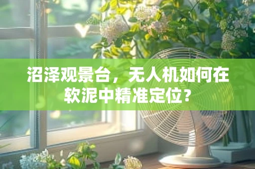 沼泽观景台，无人机如何在软泥中精准定位？