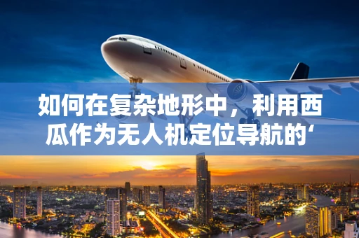 如何在复杂地形中，利用西瓜作为无人机定位导航的‘自然地标’？