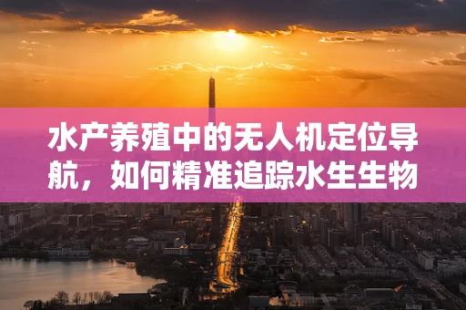 水产养殖中的无人机定位导航，如何精准追踪水生生物的移动？