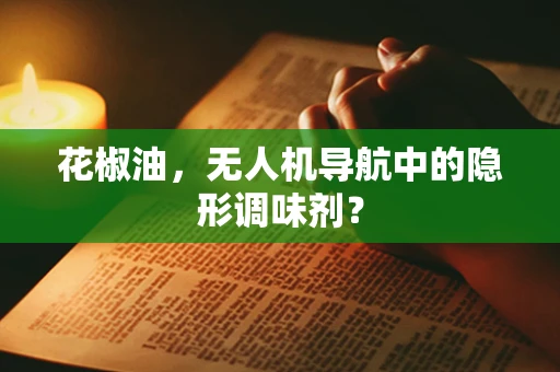 花椒油，无人机导航中的隐形调味剂？