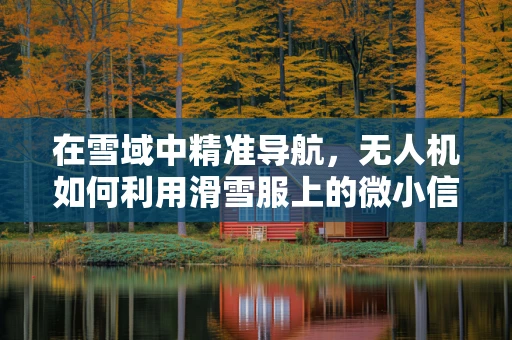 在雪域中精准导航，无人机如何利用滑雪服上的微小信号？