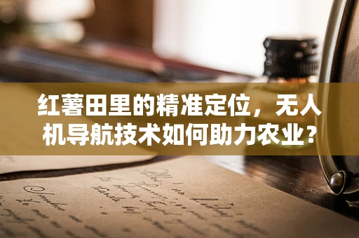 红薯田里的精准定位，无人机导航技术如何助力农业？