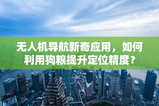 无人机导航新奇应用，如何利用狗粮提升定位精度？