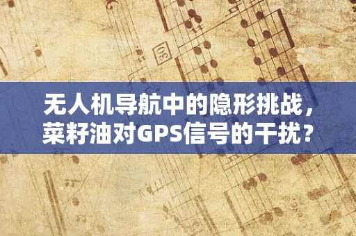 无人机导航中的隐形挑战，菜籽油对GPS信号的干扰？
