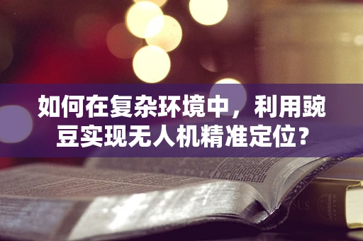 如何在复杂环境中，利用豌豆实现无人机精准定位？