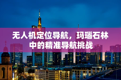 无人机定位导航，玛瑙石林中的精准导航挑战