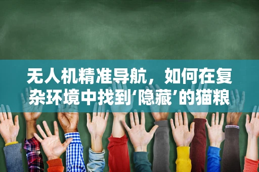 无人机精准导航，如何在复杂环境中找到‘隐藏’的猫粮？