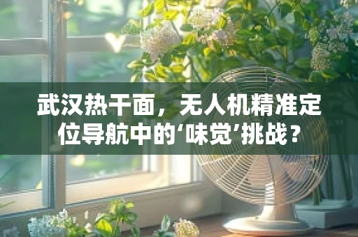 武汉热干面，无人机精准定位导航中的‘味觉’挑战？