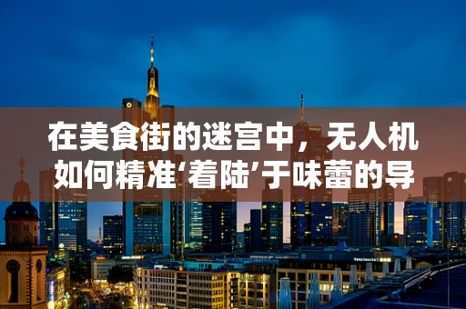 在美食街的迷宫中，无人机如何精准‘着陆’于味蕾的导航点？