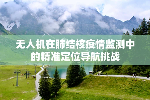 无人机在肺结核疫情监测中的精准定位导航挑战