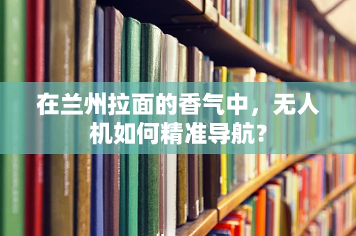 在兰州拉面的香气中，无人机如何精准导航？